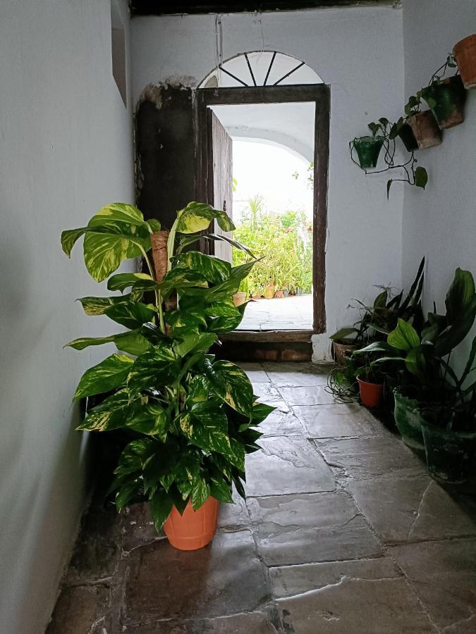 Casa Amalfi, Coqueta Casa Centro Historico De Vejer Διαμέρισμα Vejer de la Frontera Εξωτερικό φωτογραφία