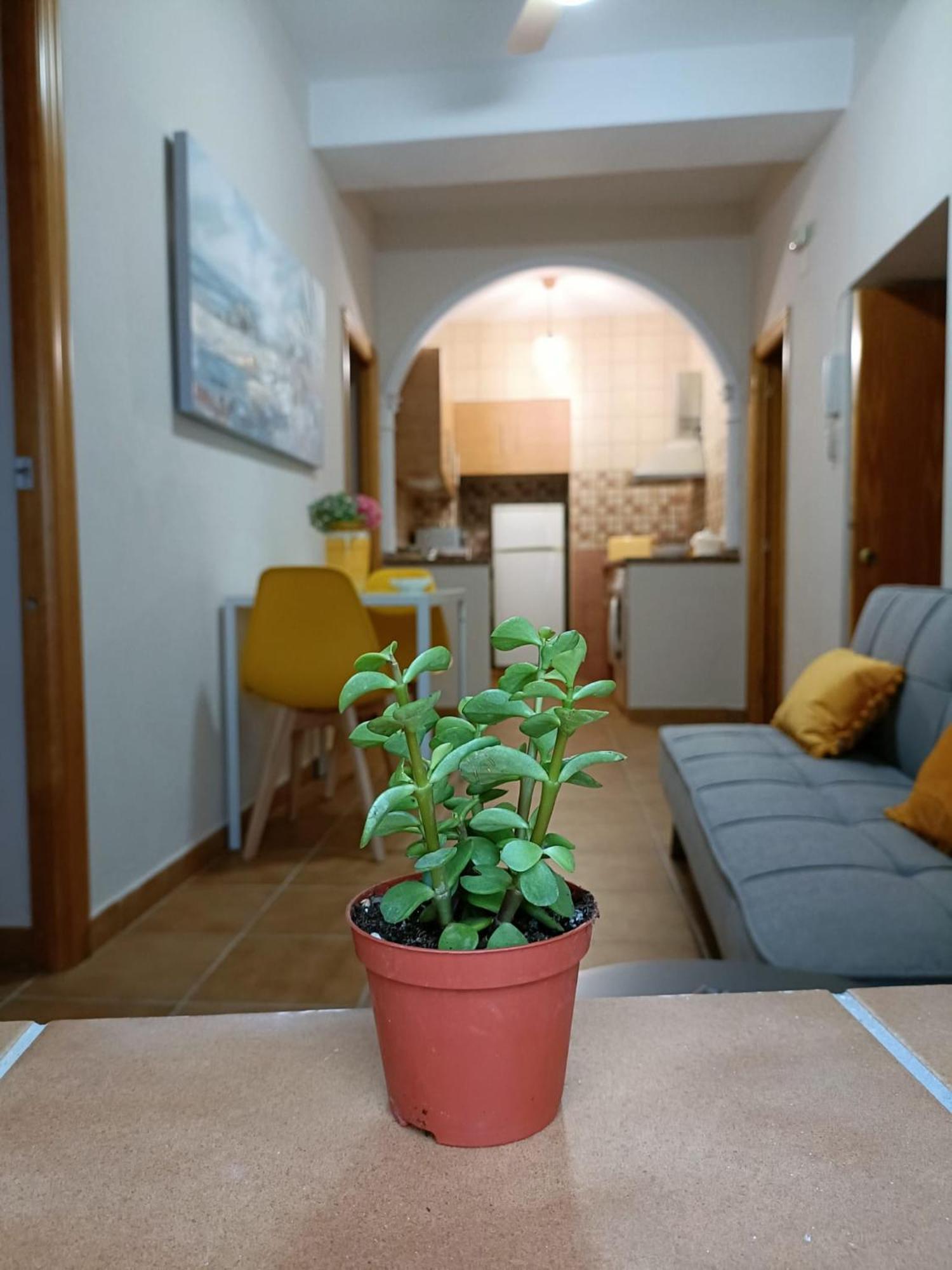 Casa Amalfi, Coqueta Casa Centro Historico De Vejer Διαμέρισμα Vejer de la Frontera Εξωτερικό φωτογραφία